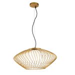 Pendant Lamp Plec