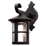 bl21 black e27